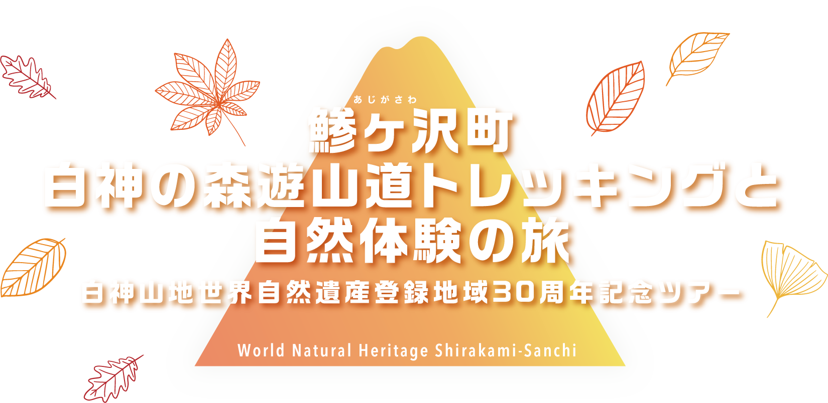 白神山地世界自然遺産登録地域30周年記念ツアー
