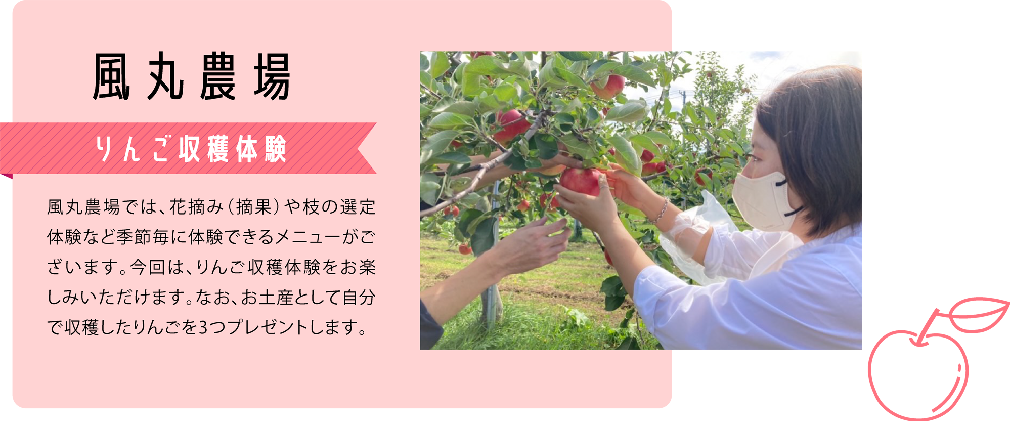 風丸農場　りんご花摘み体験